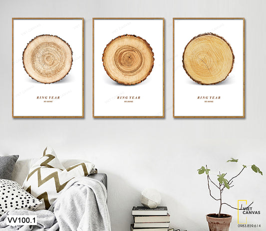 Bộ 3 Tranh Tấm Gỗ Tròn - VV100.1