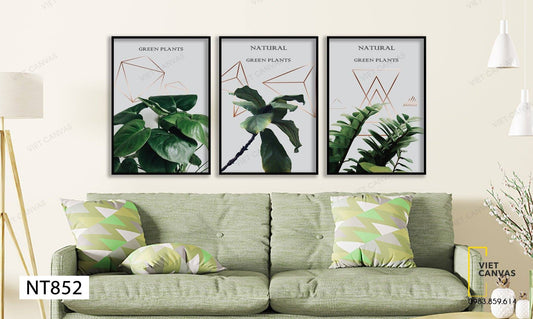 Bộ 3 Tranh Lá Cây Xanh - NT852