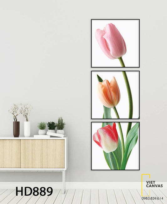 Bộ 3 Tranh Hoa TuLip - HD889