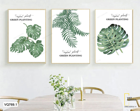 Bộ 3 Tranh Những Chiếc Lá - VQ769.1