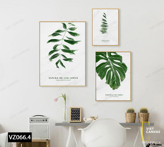 Bộ 3 Tranh Những Chiếc Lá Giản Đơn - VZ066.4