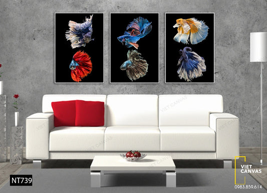 Bộ 3 Tranh Sắc Màu Loài Cá Cảnh - NT739