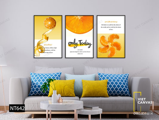 Bộ 3 Tranh Quả Cam Tươi Mát - NT642