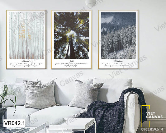 Bộ 3 Tranh Rừng Cây - VR042.1