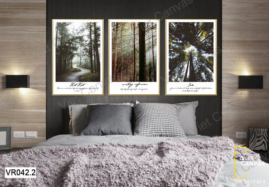 Bộ 3 Tranh Rừng Cây Xanh - VR042.2