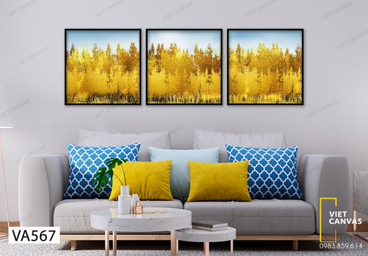 Bộ 3 Tranh Rừng Lá Kim Vàng - VA567