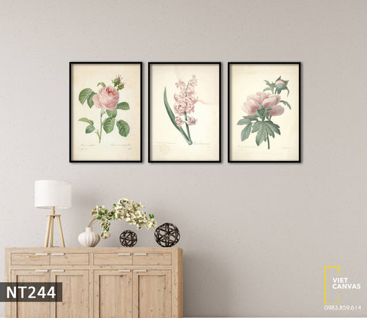 Bộ 3 Tranh Hoa Lá Nhẹ Nhàng - NT244