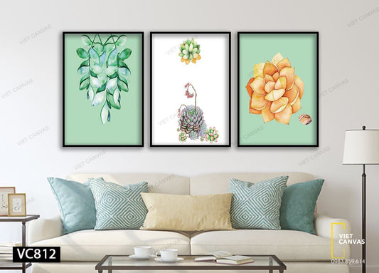 Bộ 3 Tranh Sen Đá Sắc Màu - VC812