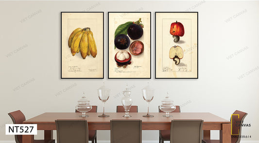 Bộ 3 Tranh Trái Cây Bốn Mùa - NT527