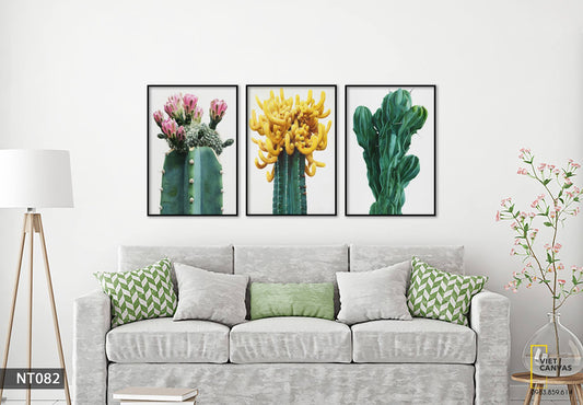 Bộ 3 Tranh Xương Rồng Nở Hoa - NT082