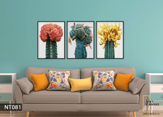Bộ 3 Tranh Xương Rồng Nở Hoa - NT081