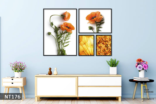 Bộ 4 Tranh Hoa Sắc Cam - NT176