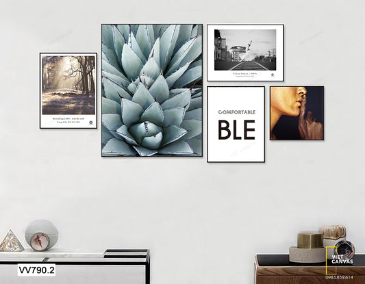 Bộ 5 Tranh Sen Đá Và Vũ Công - VV790.2