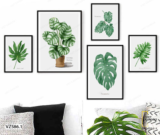 Bộ 5 Tranh Những Mẫu Lá Ấn Tượng - VZ586.1