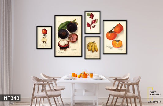 Bộ 5 Tranh Tĩnh Vật Hoa Quả - NT343