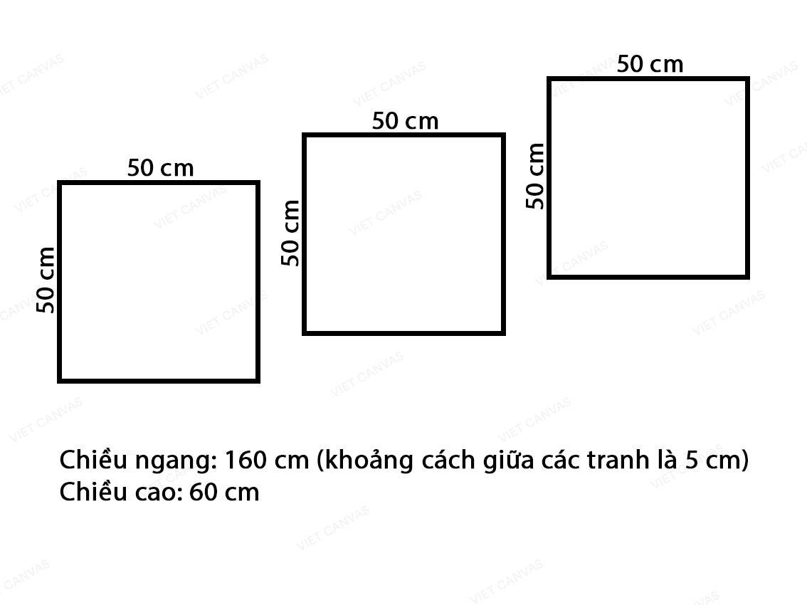 Bộ 3 Tranh Hoa Tỏa Hương Sắc - VX243.5