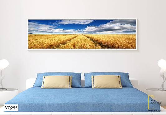Tranh Đồng Lúa Vàng Và Bầu Trời Xanh - VQ255