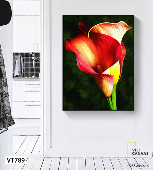 Tranh Hoa Calla - VT789