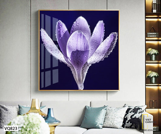 Tranh Sương Đọng Trên Cánh Hoa - VQ823
