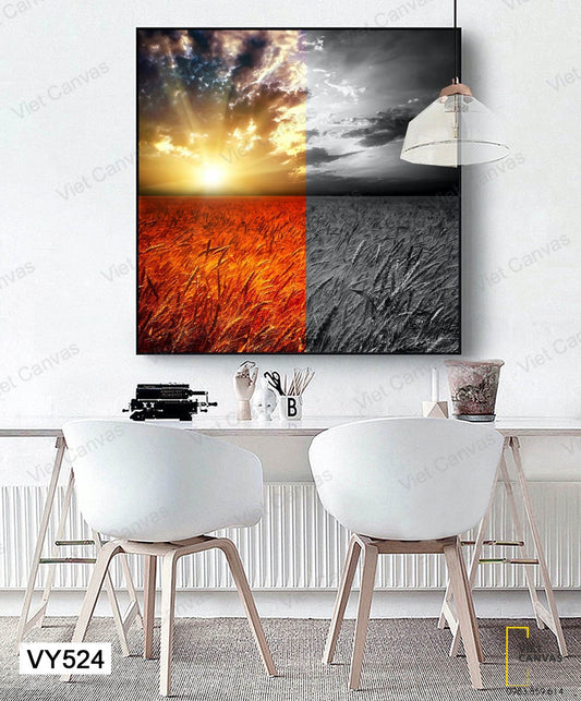 Tranh Cánh Đồng Lúa Hai Màu - VY524