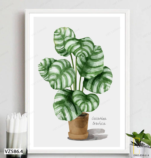 Tranh Chậu Cây Đơn Giản - VZ586.4