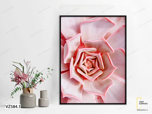 Tranh Đóa Sen Đá Sắc Hồng Rực - VZ584.1