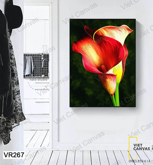 Tranh Hoa Calla - VR267