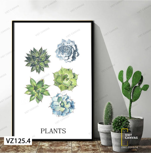 Tranh Những Cây Sen Đá Xinh Đẹp - VZ125.4