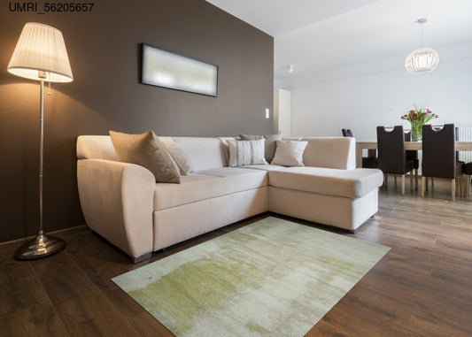 Thảm Lông Xù Trải Sàn Phòng Khách - UMRI_56205657